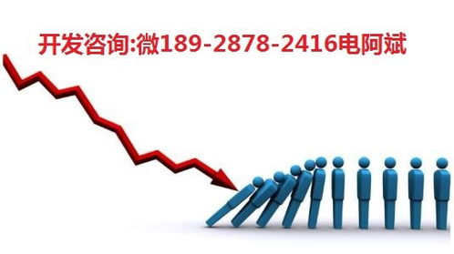 桔子車樁軟件系統定制開發